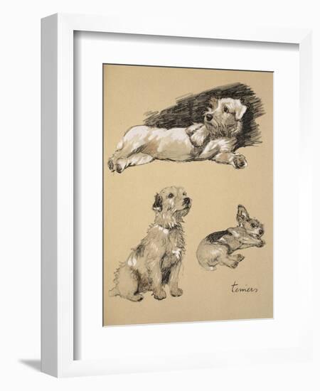 Terriers, 1930, Just Among Friends, Aldin, Cecil Charles Windsor-Cecil Aldin-Framed Giclee Print