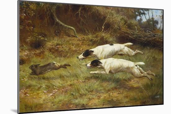 Terriers on a Hare-Thomas Blinks-Mounted Giclee Print
