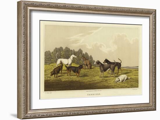 Terriers-Henry Thomas Alken-Framed Giclee Print