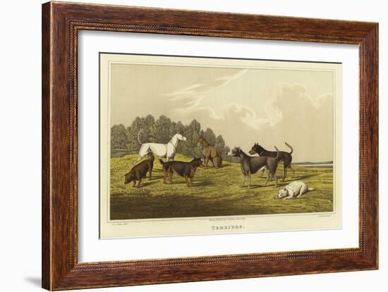 Terriers-Henry Thomas Alken-Framed Giclee Print