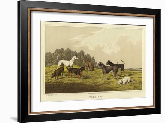 Terriers-Henry Thomas Alken-Framed Giclee Print