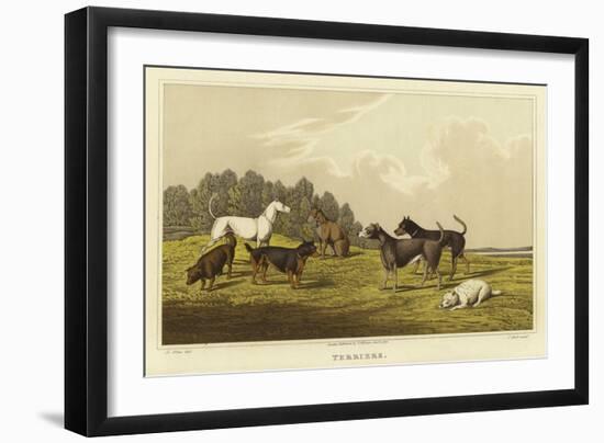 Terriers-Henry Thomas Alken-Framed Giclee Print