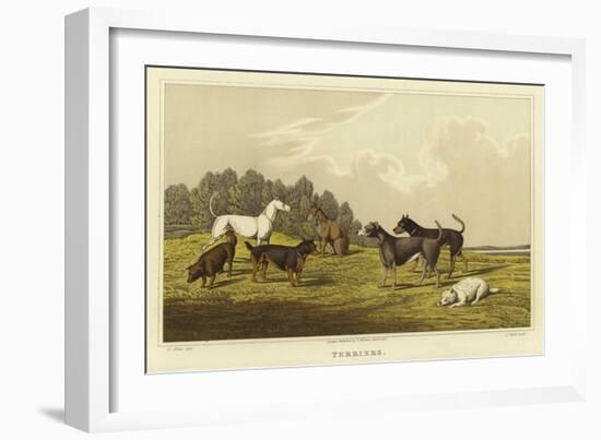 Terriers-Henry Thomas Alken-Framed Giclee Print