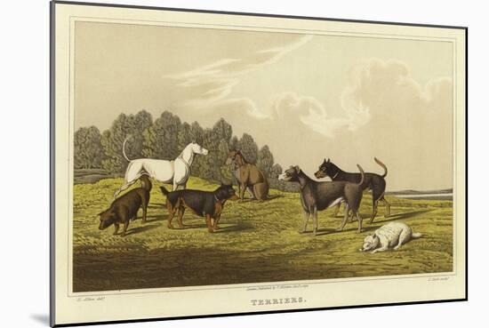 Terriers-Henry Thomas Alken-Mounted Giclee Print