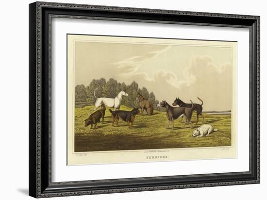 Terriers-Henry Thomas Alken-Framed Giclee Print