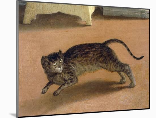 Terrified Cat, Detail from Recanati Annunciation, Ca 1534-Lorenzo Lotto-Mounted Giclee Print