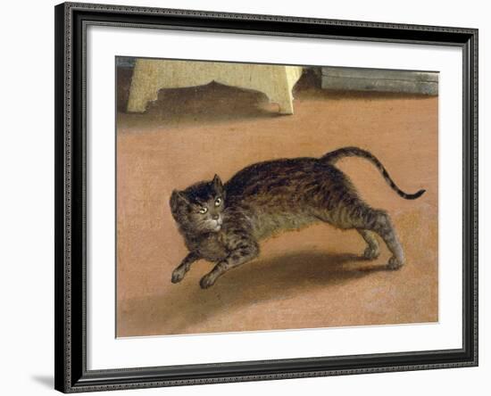 Terrified Cat, Detail from Recanati Annunciation, Ca 1534-Lorenzo Lotto-Framed Giclee Print