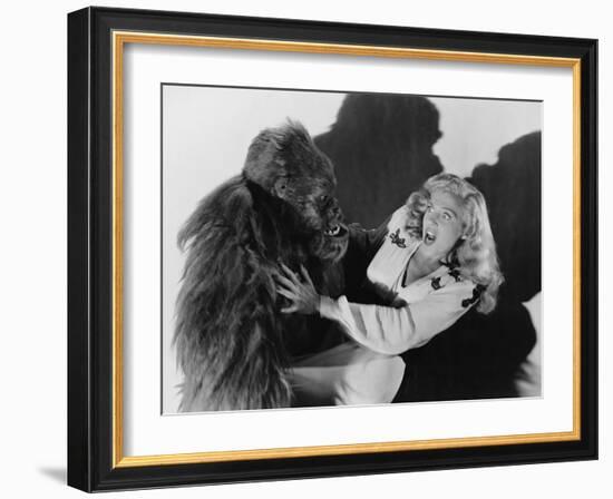 Terrified Woman Being Attacked by Gorilla-null-Framed Photo
