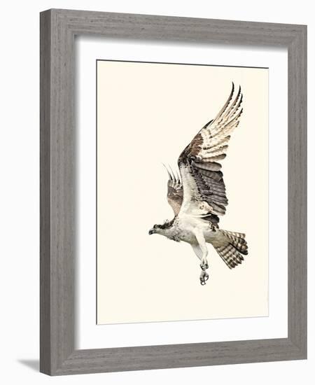 Territorial-Wink Gaines-Framed Giclee Print