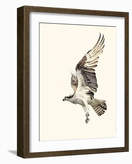 Territorial-Wink Gaines-Framed Giclee Print