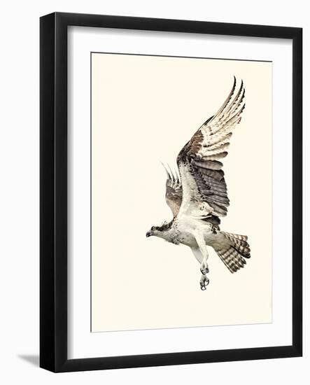 Territorial-Wink Gaines-Framed Giclee Print