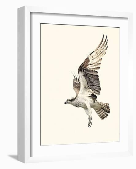 Territorial-Wink Gaines-Framed Giclee Print