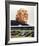 Terry Bradshaw-Merv Corning-Framed Limited Edition