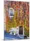 Premium Photographic Print