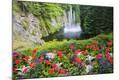 Photographic Print