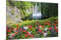Photographic Print