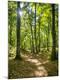 Photographic Print