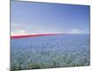 Premium Photographic Print