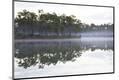Premium Photographic Print
