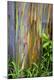 Premium Photographic Print