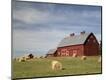 Photographic Print