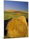 Premium Photographic Print