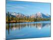 Photographic Print