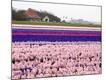 Premium Photographic Print