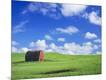 Photographic Print