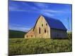 Photographic Print