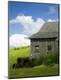 Photographic Print