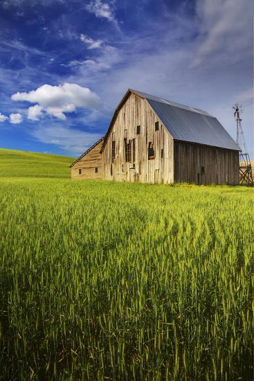 Premium Photographic Print, , large
