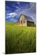 Premium Photographic Print