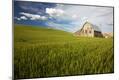 Photographic Print