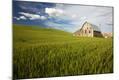 Photographic Print