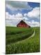 Photographic Print