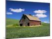 Photographic Print