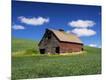 Photographic Print