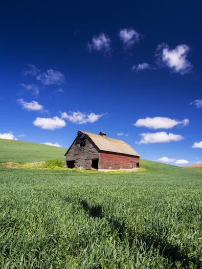 Photographic Print, , large