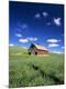 Photographic Print