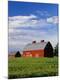 Premium Photographic Print
