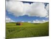 Premium Photographic Print
