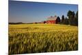Photographic Print