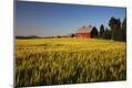 Photographic Print