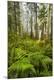 Premium Photographic Print