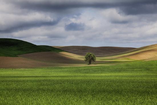 Photographic Print, , large