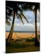 Premium Photographic Print