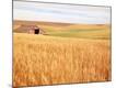 Premium Photographic Print