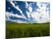 Photographic Print