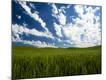 Photographic Print